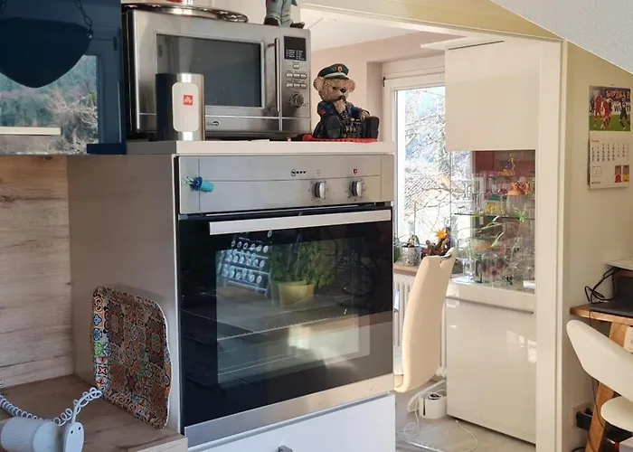 Apartament 154 Fryburg Bryzgowijski